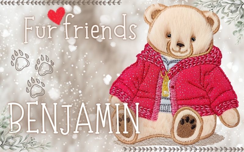Benjamin Bear 6x10