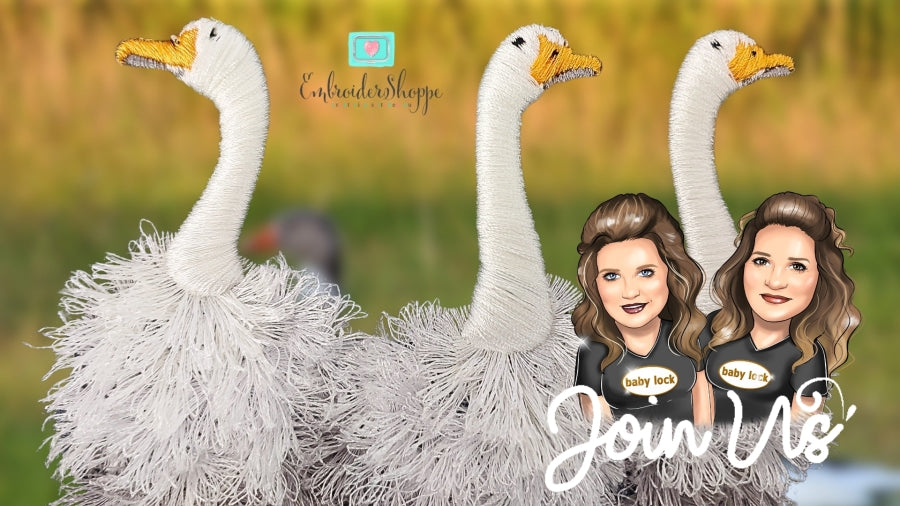 5x7 Goose On The Loose