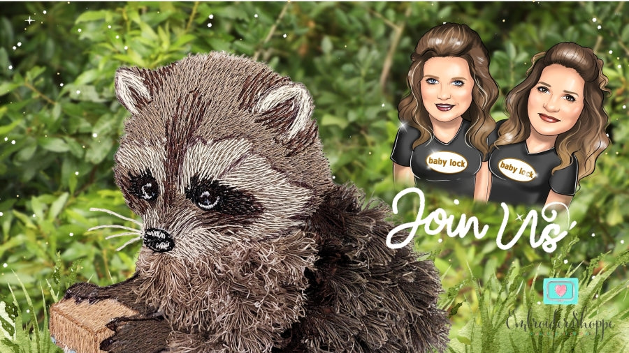5 x 7 Walter Raccoon