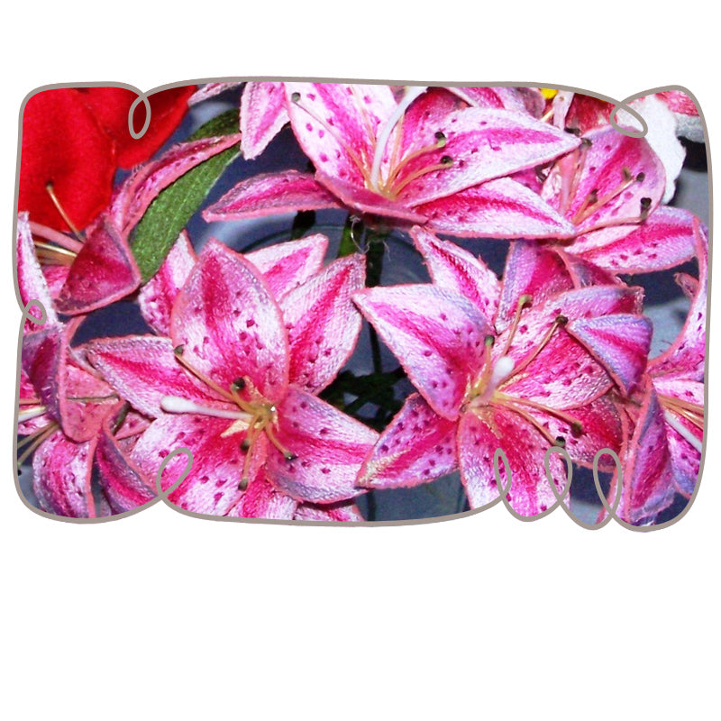 Stargazer Lily