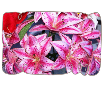 Stargazer Lily