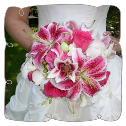Stargazer Lily