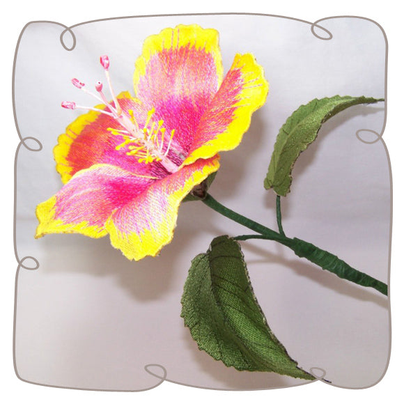 Chinese Hibiscus