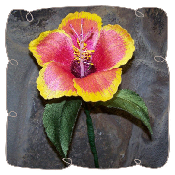 Chinese Hibiscus