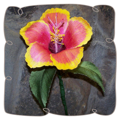 Chinese Hibiscus