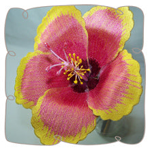 Chinese Hibiscus