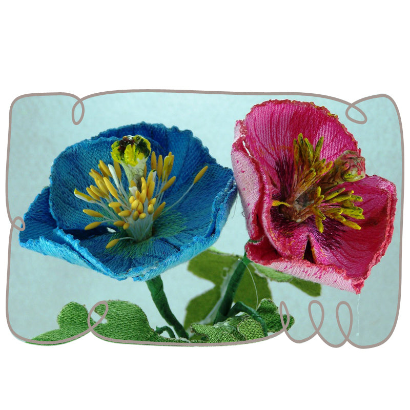 Pink Poppy 2