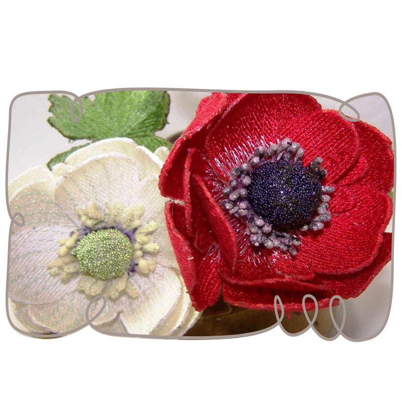 White Anemone