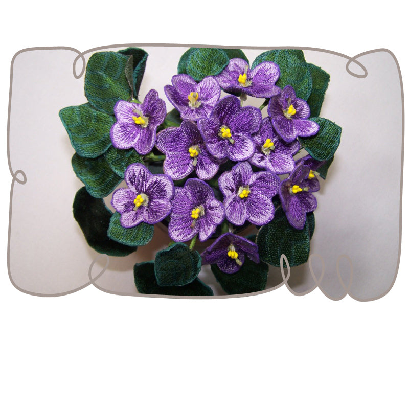 Purple African Violets