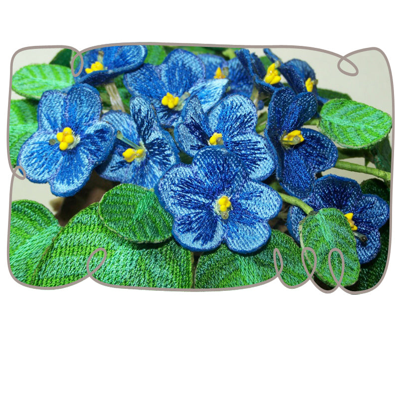 Blue African Violet