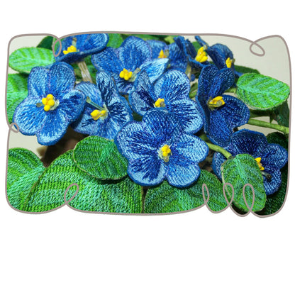 Blue African Violet