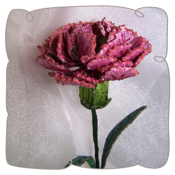 Pink Carnation