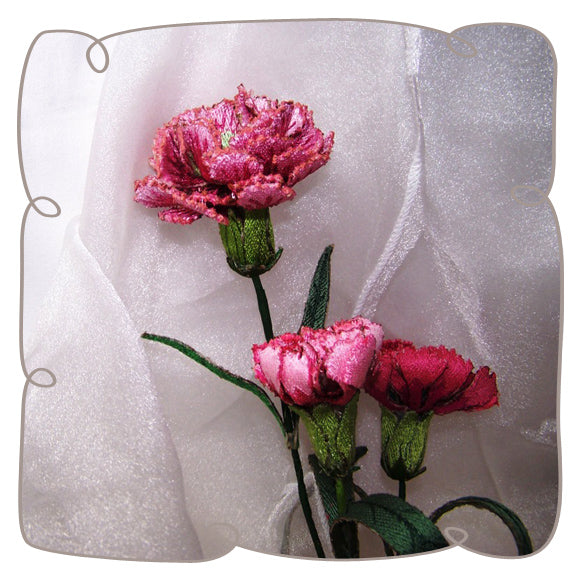 Pink Carnation