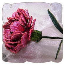 Pink Carnation