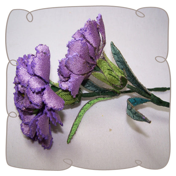 Lilac Carnation