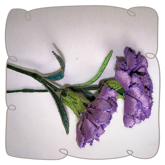 Lilac Carnation