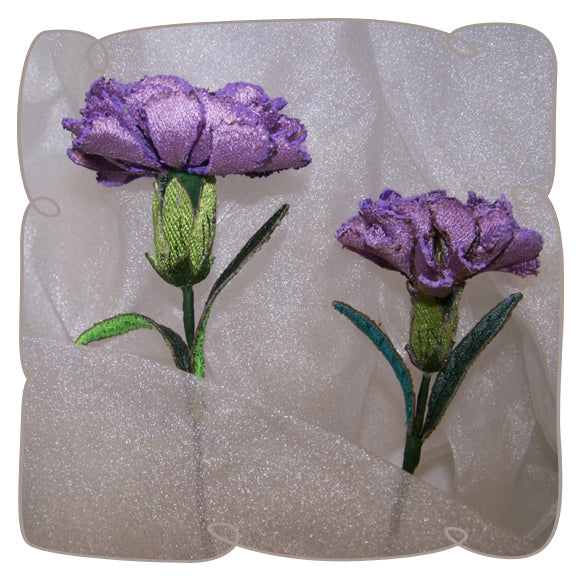 Lilac Carnation