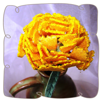 Yellow Carnation