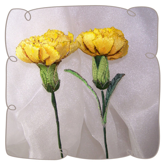 Yellow Carnation