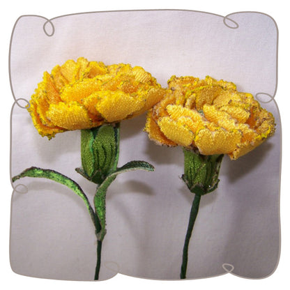 Yellow Carnation