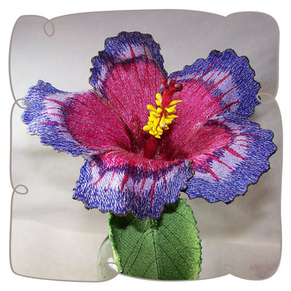 Night Fire Hibiscus