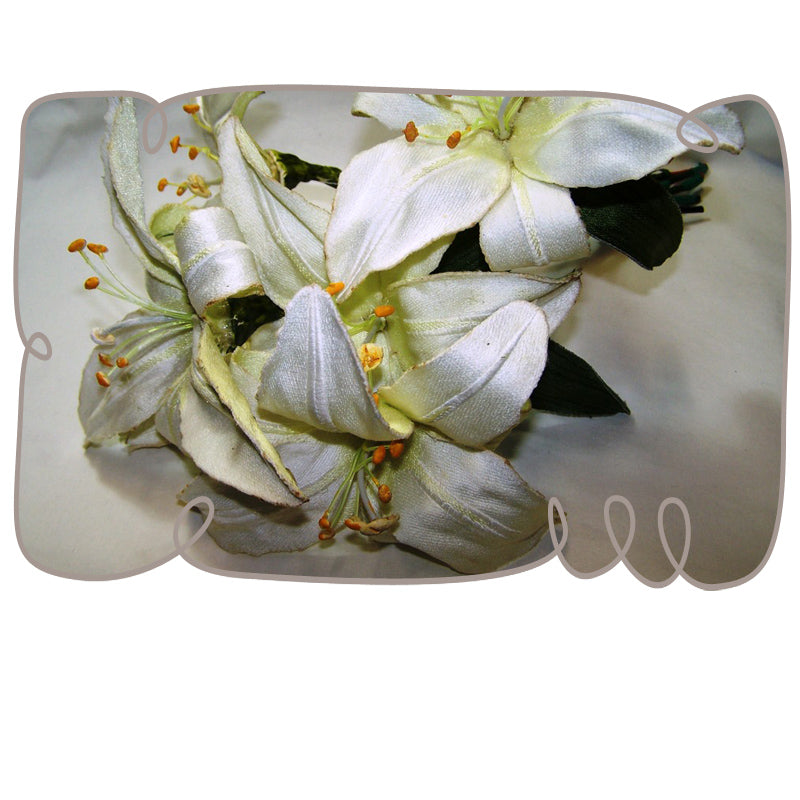 St Joseph Lily