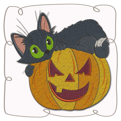 Cat on Pumpkin
