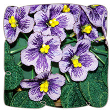 Purple Fabric African Violets