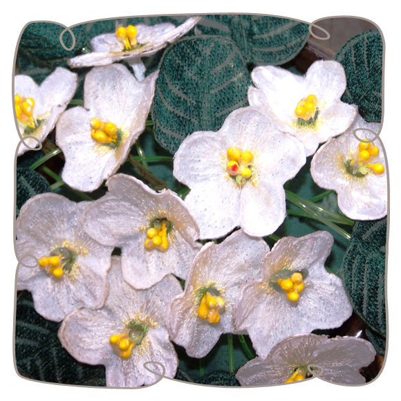 Fabric White African Violet