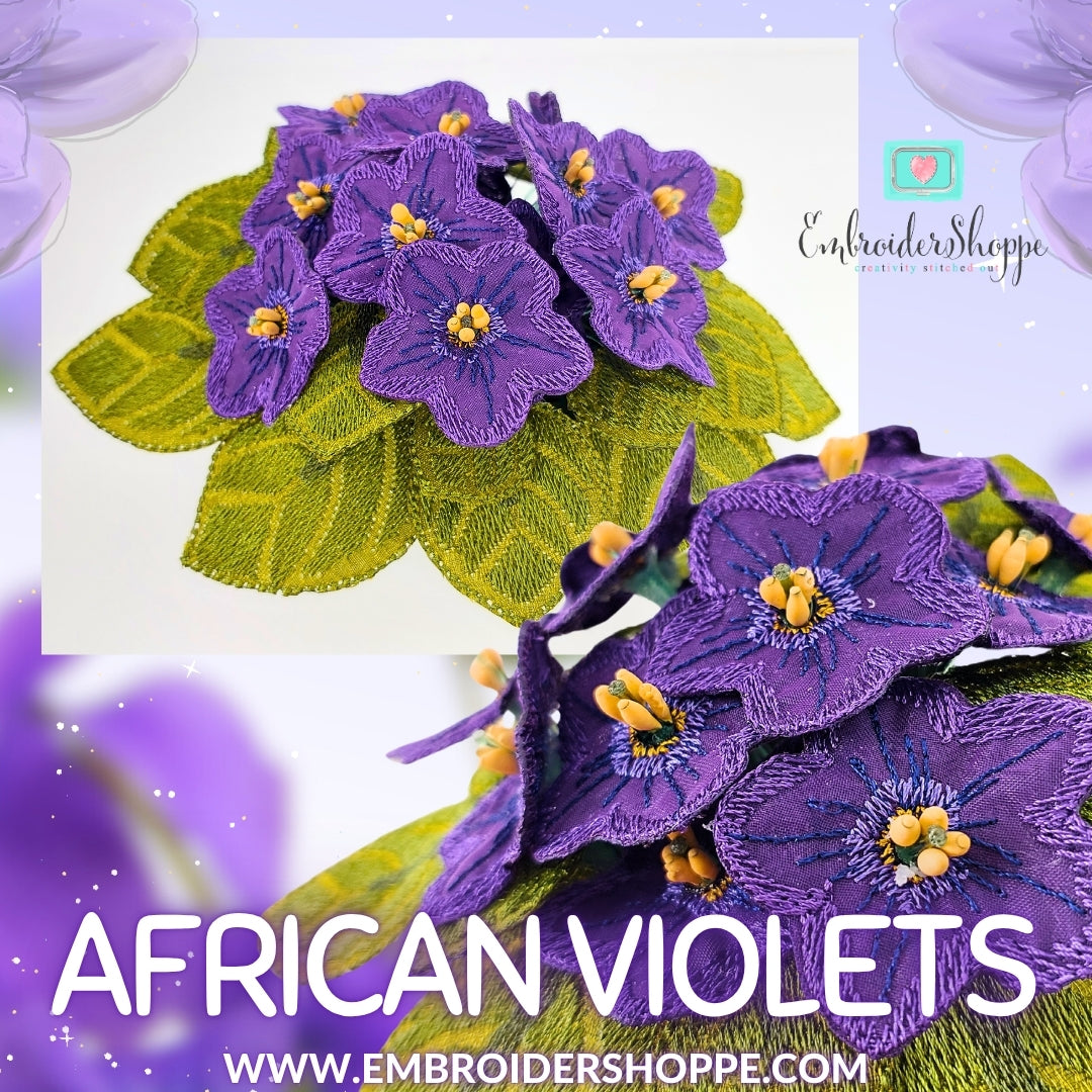 African Violets