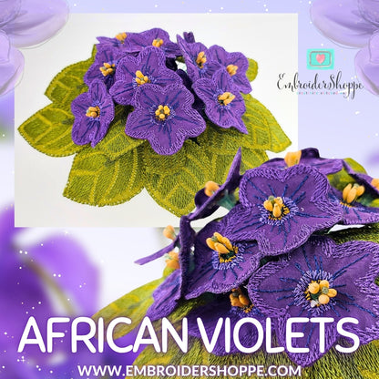 African Violets