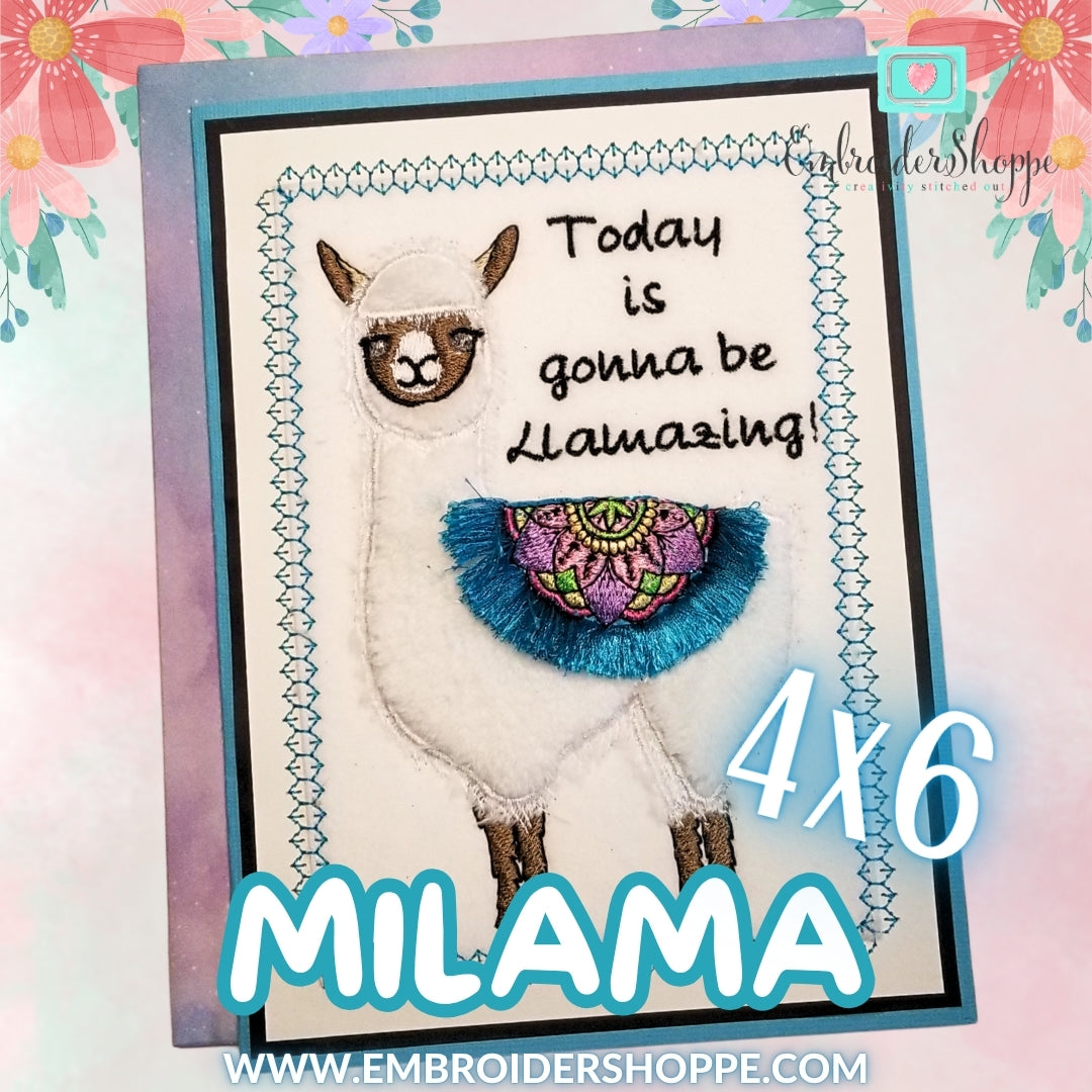 4x6 Milama