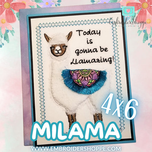 4x6 Milama