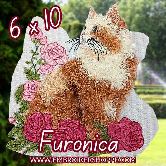 6 x 10 Furonica