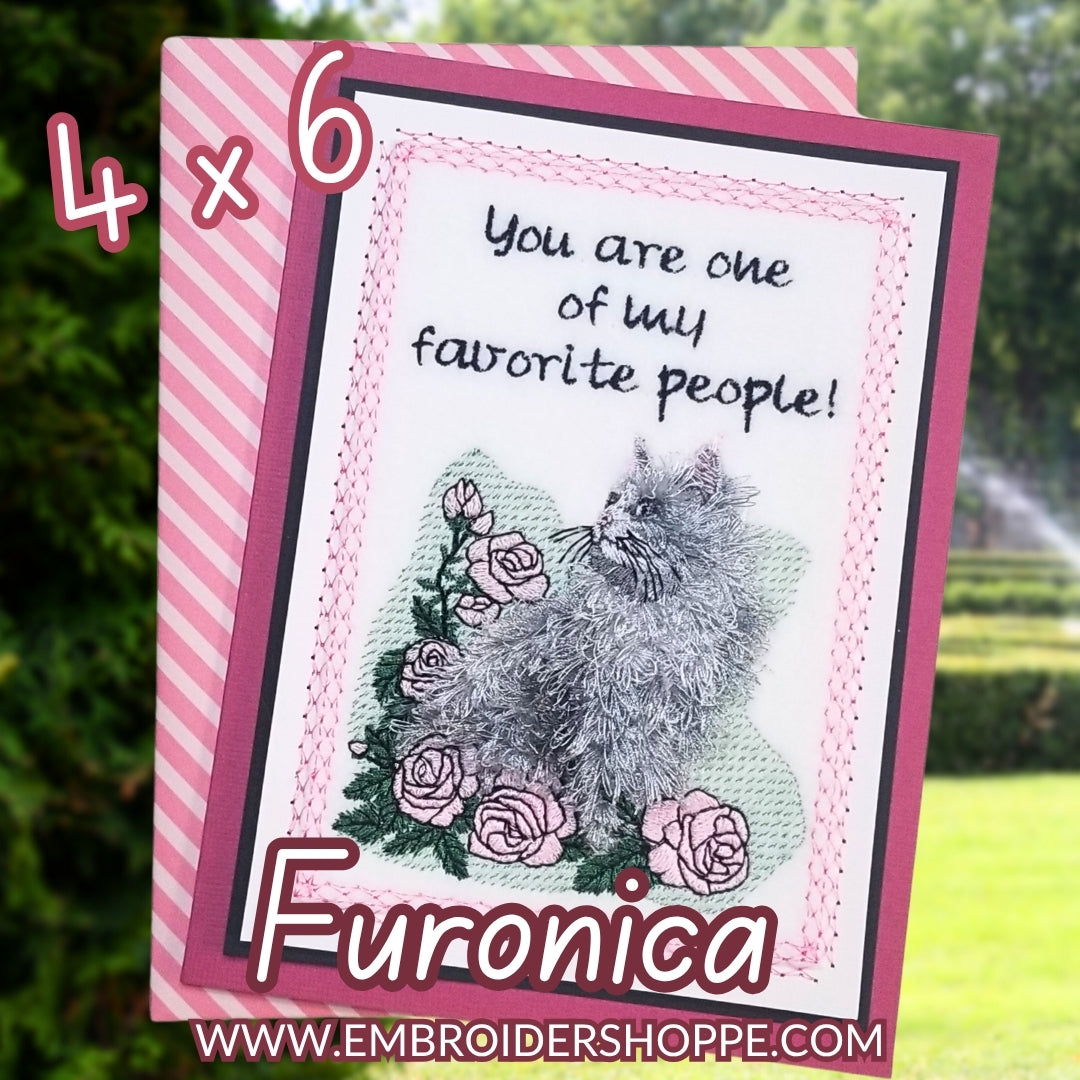 4 x 6 Furonica