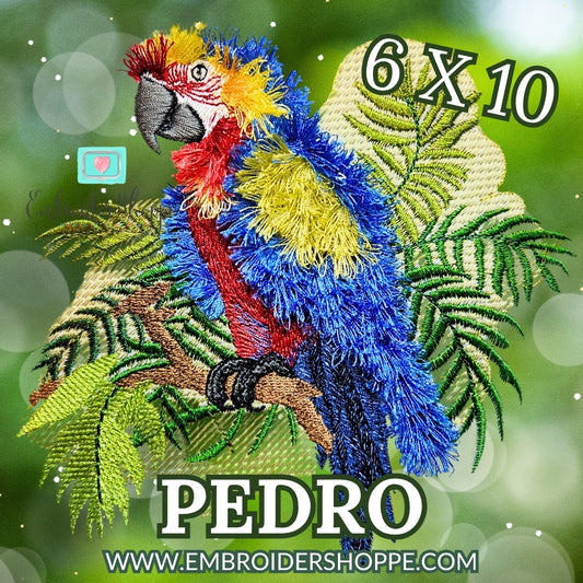 6 x 10 Pedro