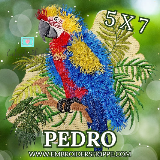5 x 7 Pedro