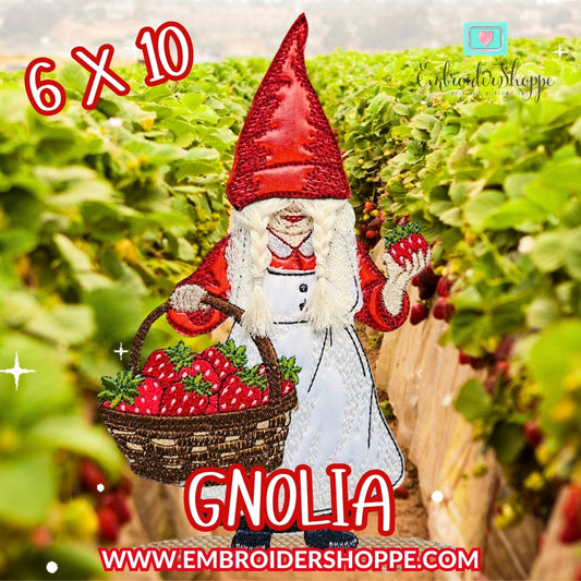 6 x 10 Gnolia