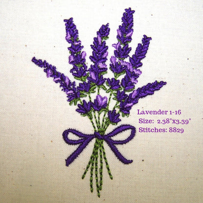 Lavender Fields 1