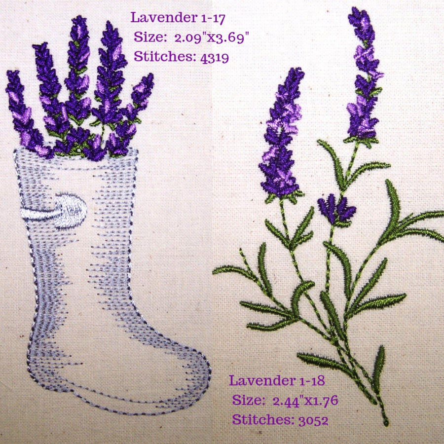 Lavender Fields 1