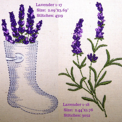 Lavender Fields 1