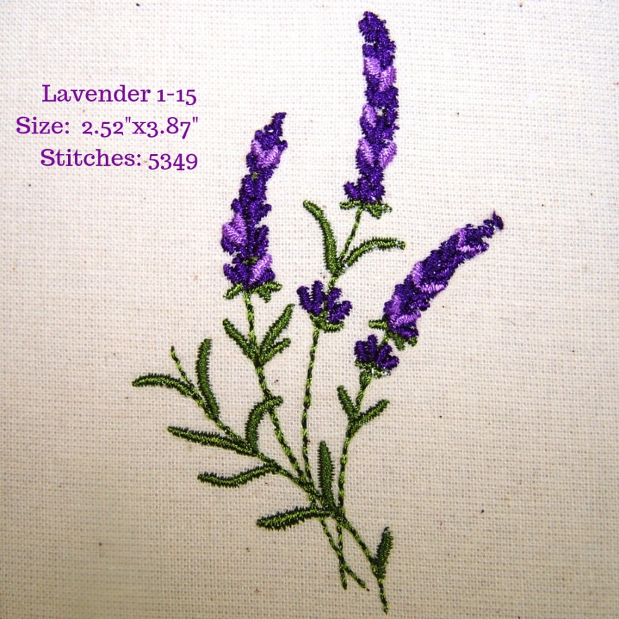 Lavender Fields 1