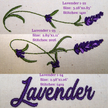 Lavender Fields 1
