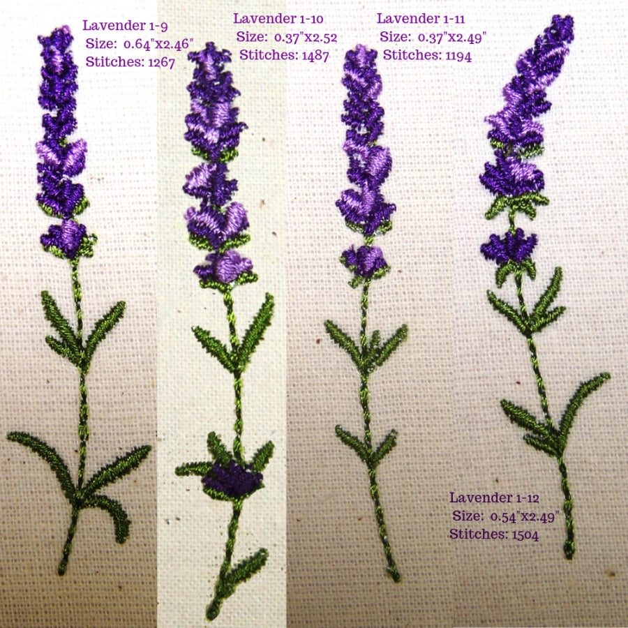 Lavender Fields 1