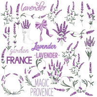 Lavender Fields 1