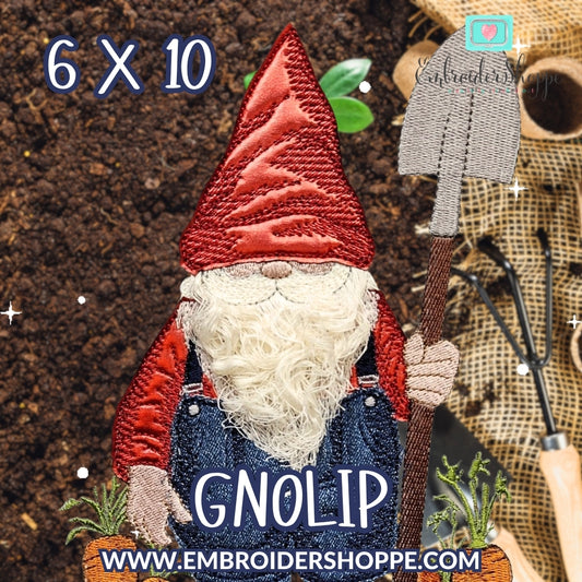 6 x 10 Gnolip