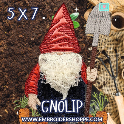 5 x 7 Gnolip