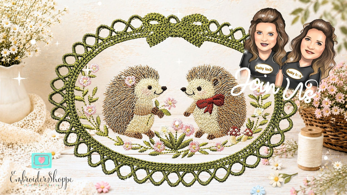 6 x 10 Hedgies Frame