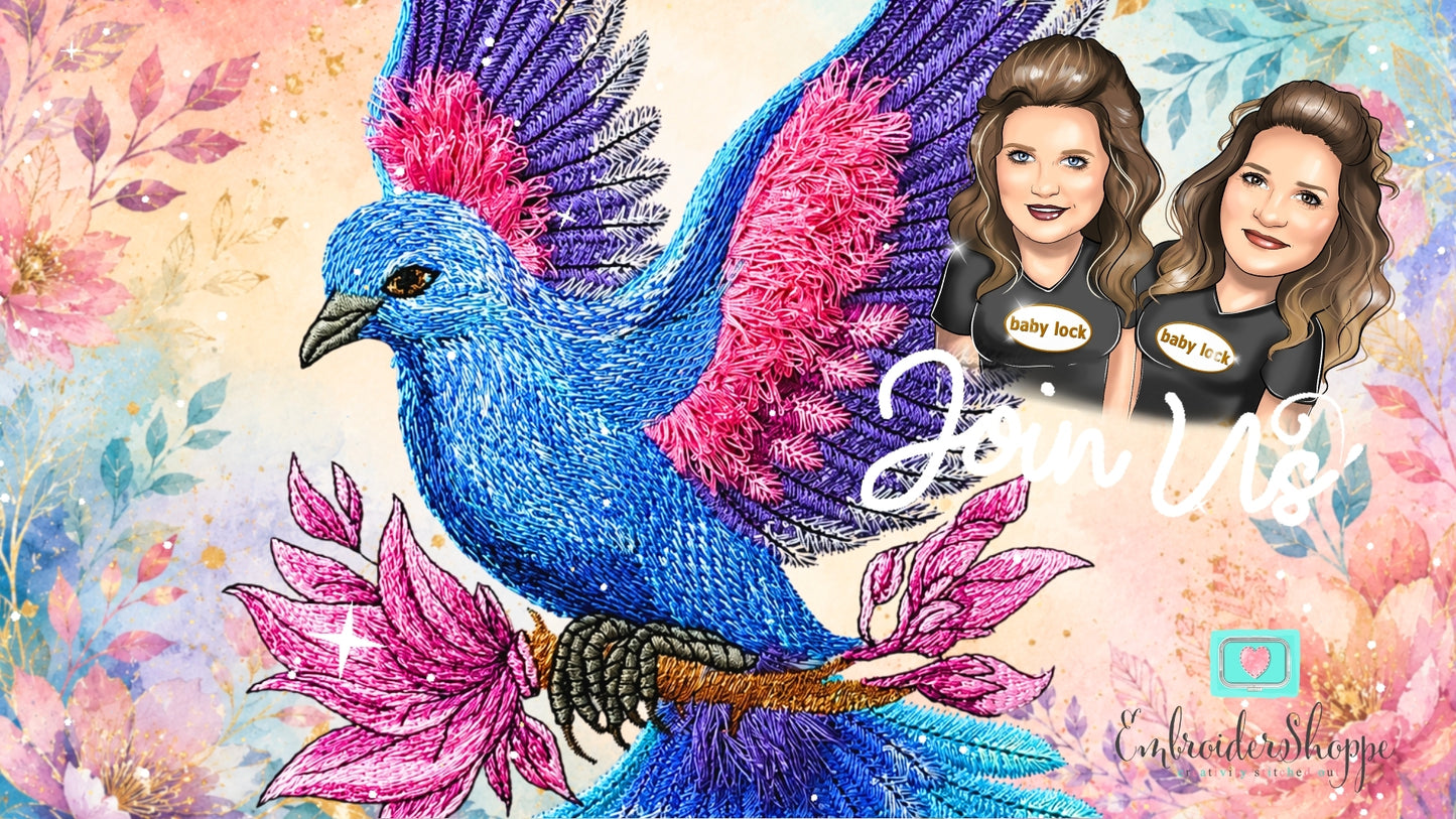 6 x 10 Seraphina