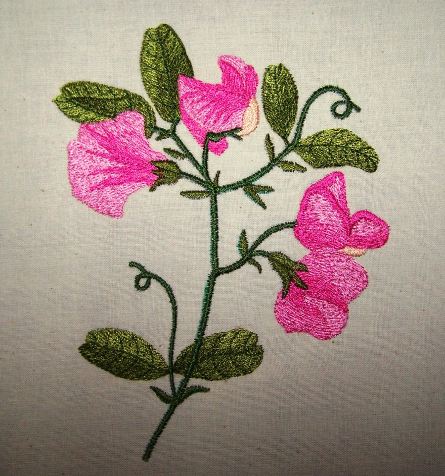 Sweet Peas and Butterflies
